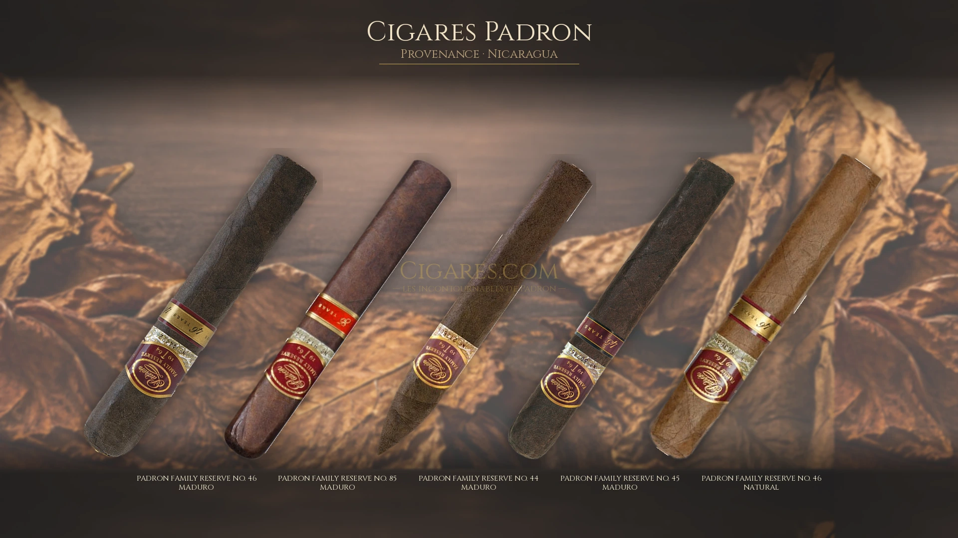 Top 5 cigares Padron — les plus populaires