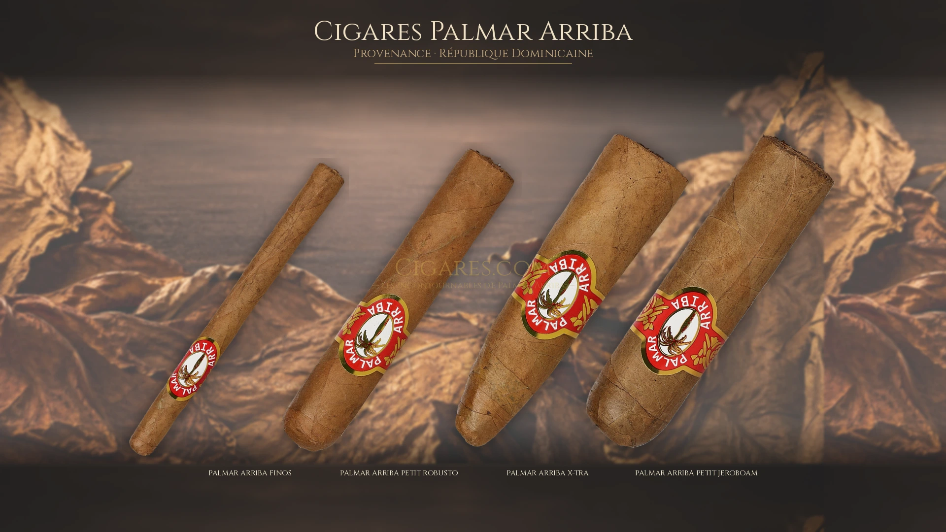 Top 5 cigares Palmar Arriba — les plus populaires