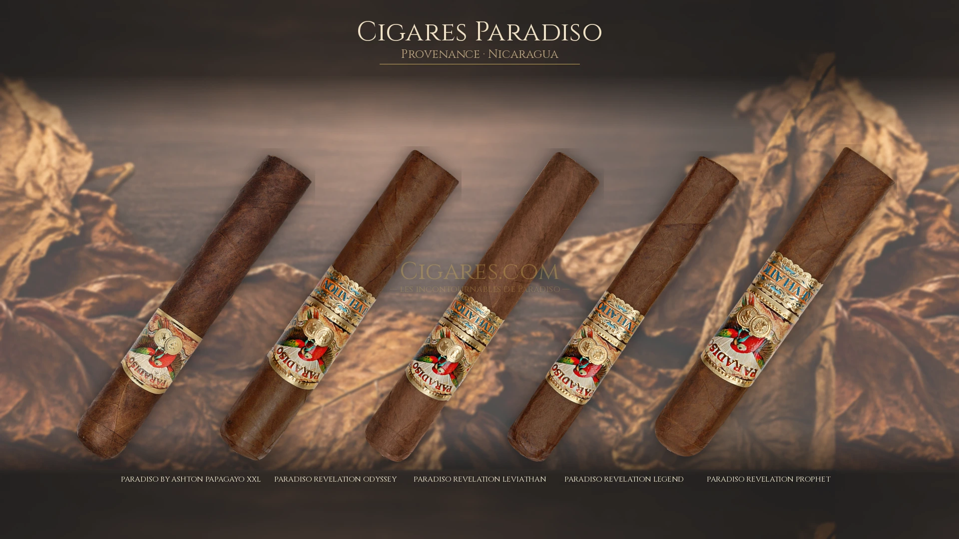 Top 5 cigares Paradiso — les plus populaires