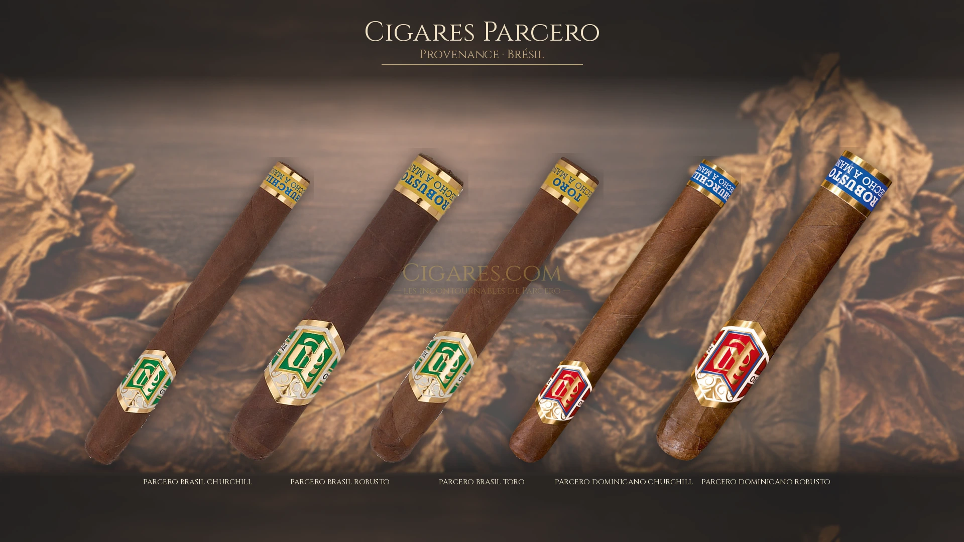 Top 5 cigares Parcero — les plus populaires