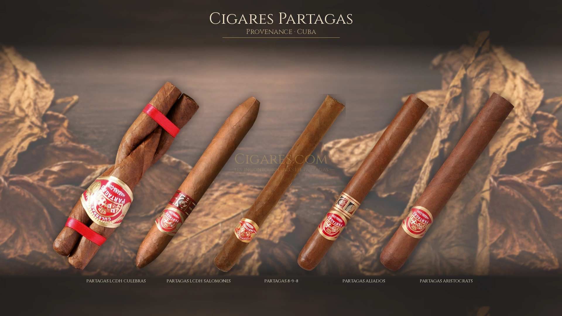 Top 5 cigares Partagas — les plus populaires