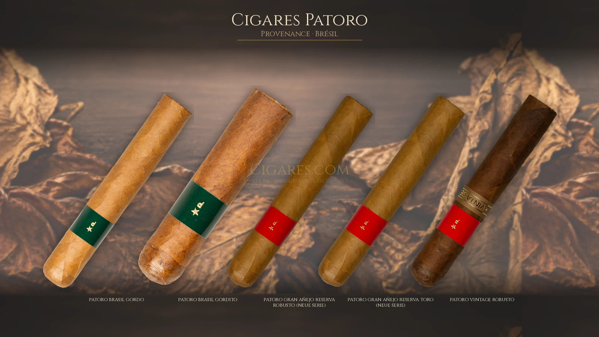 Top 5 cigares Patoro — les plus populaires
