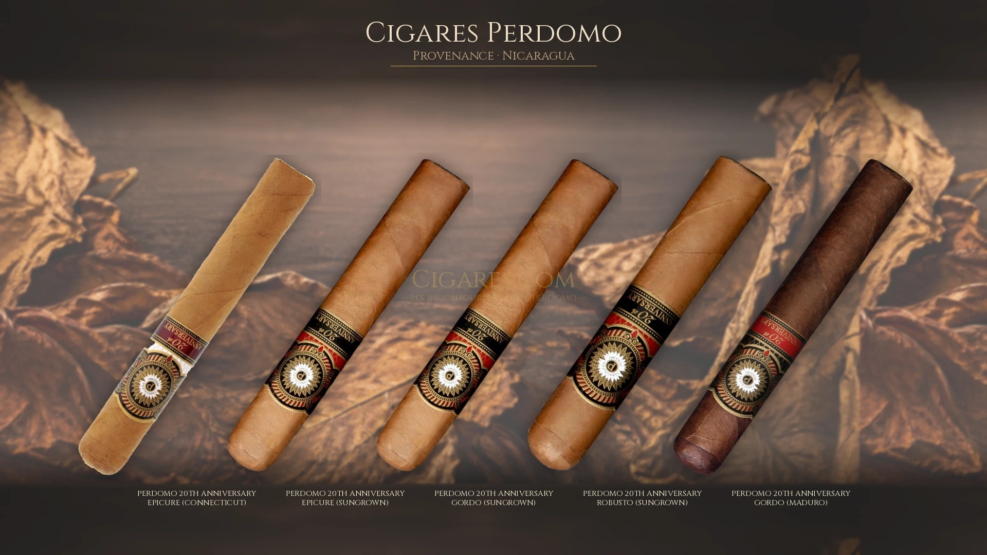 Top 5 cigares Perdomo — les plus populaires