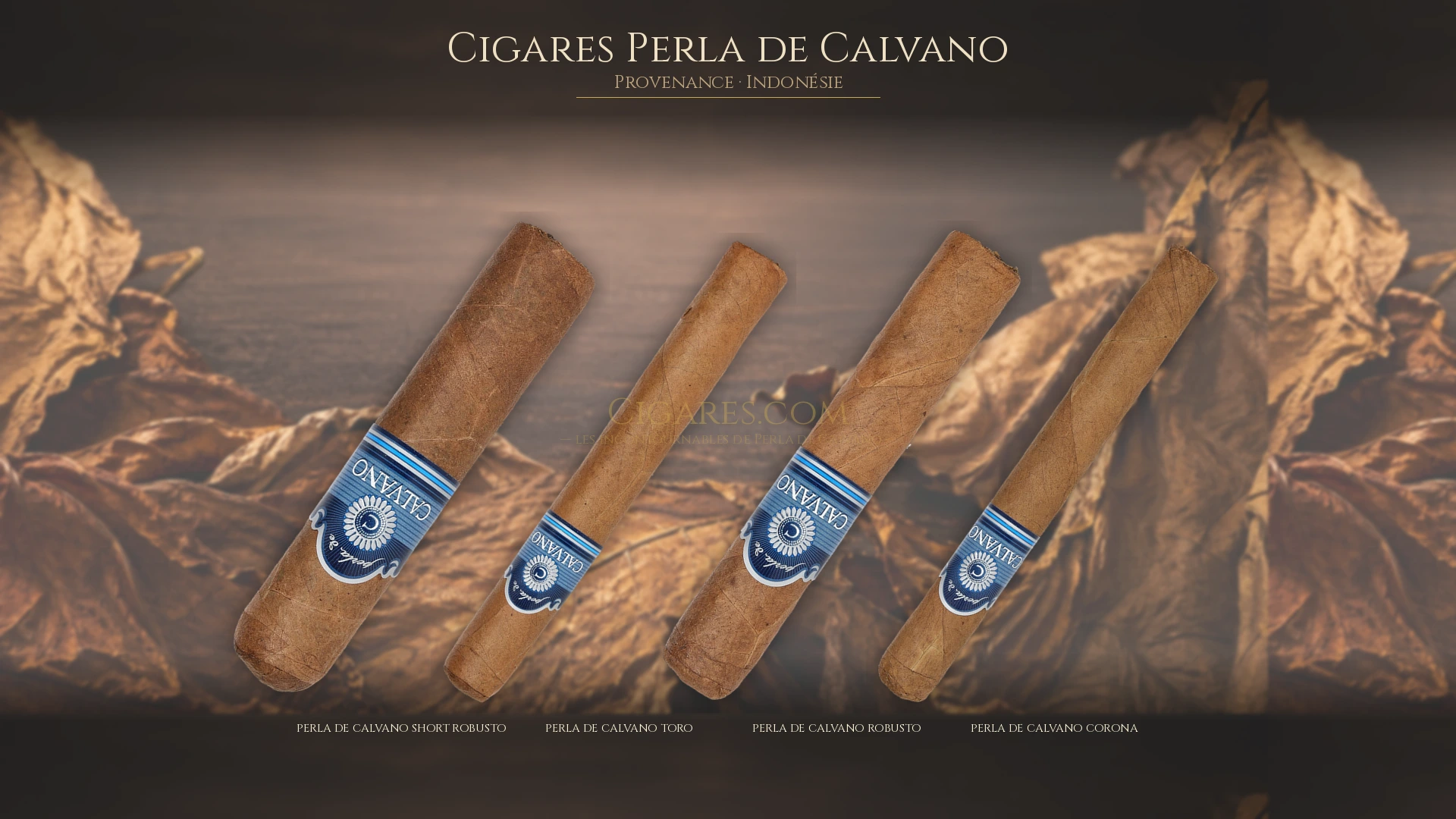 Top 5 cigares Perla de Calvano — les plus populaires