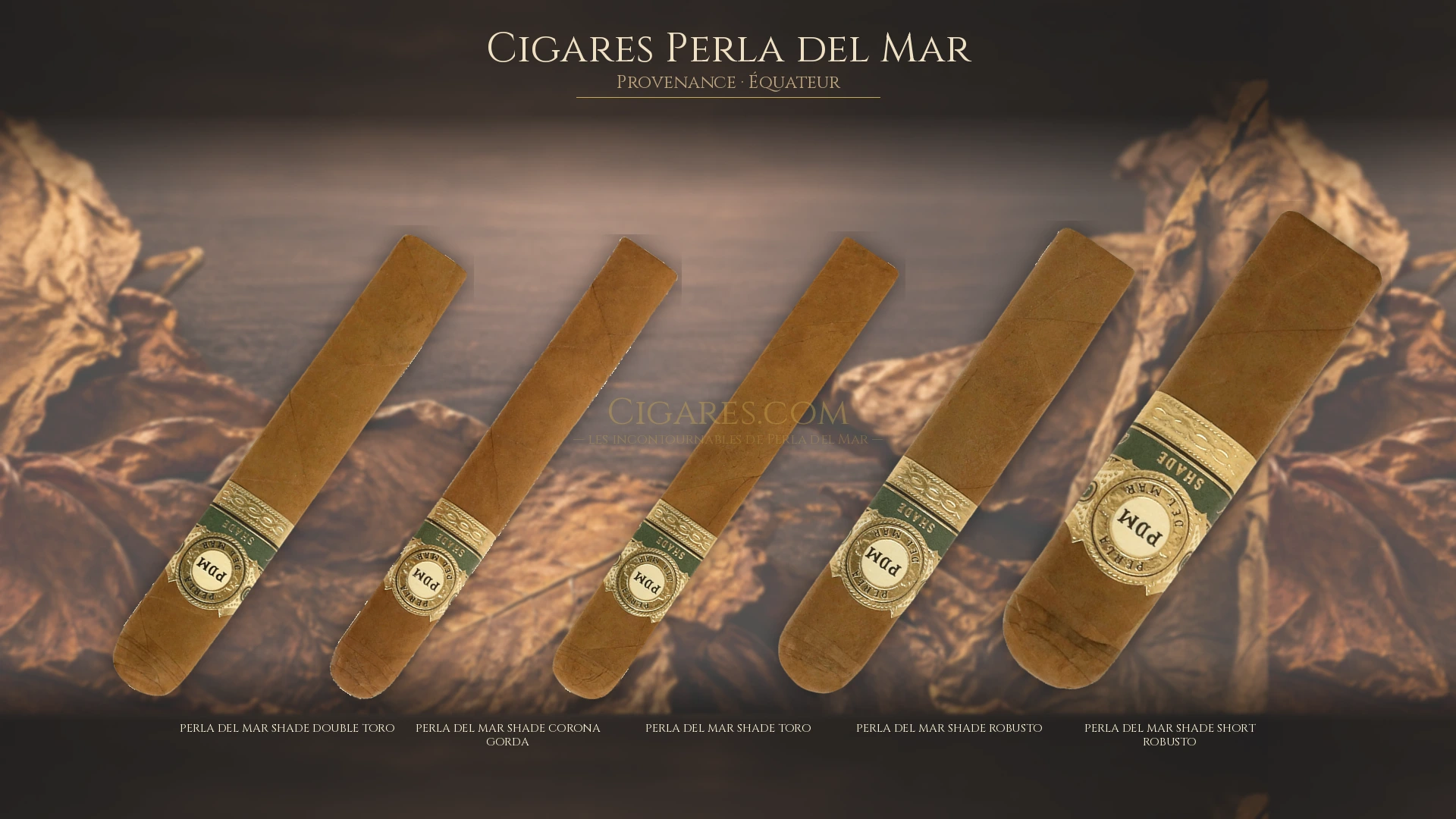 Top 5 cigares Perla del Mar — les plus populaires