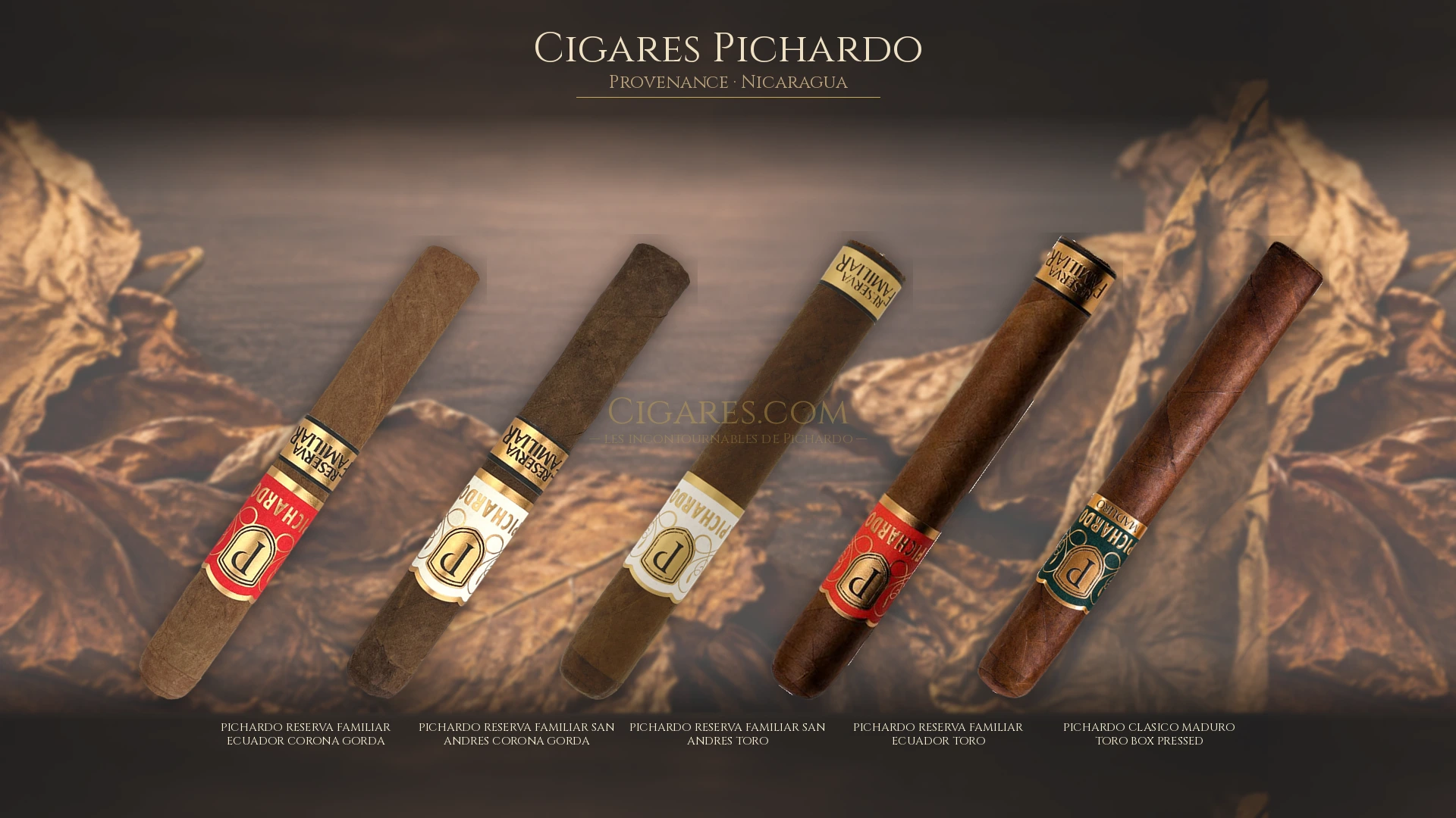 Top 5 cigares Pichardo — les plus populaires