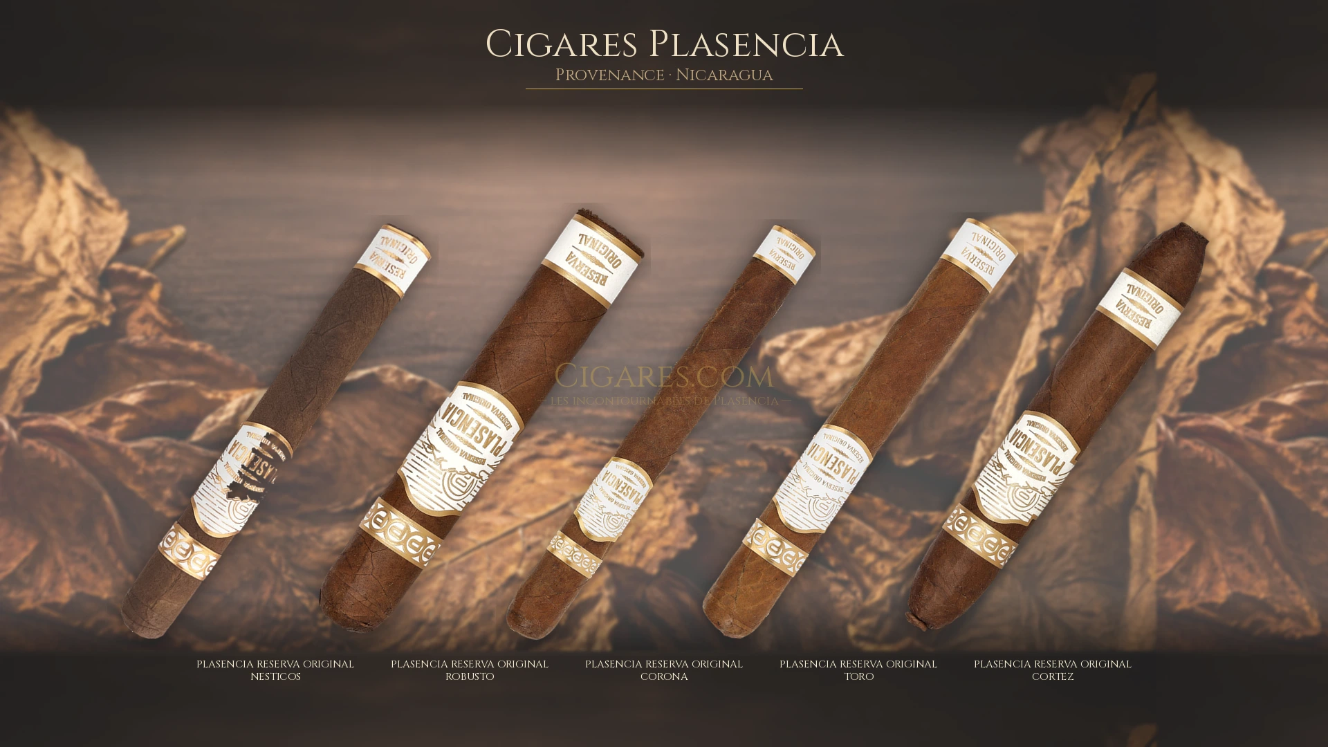 Top 5 cigares Plasencia — les plus populaires