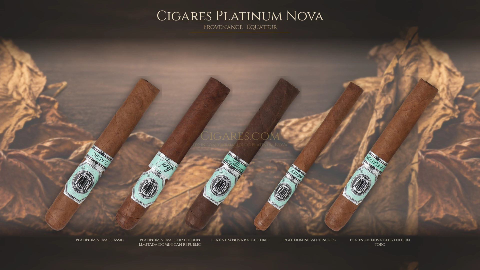 Top 5 cigares Platinum Nova — les plus populaires
