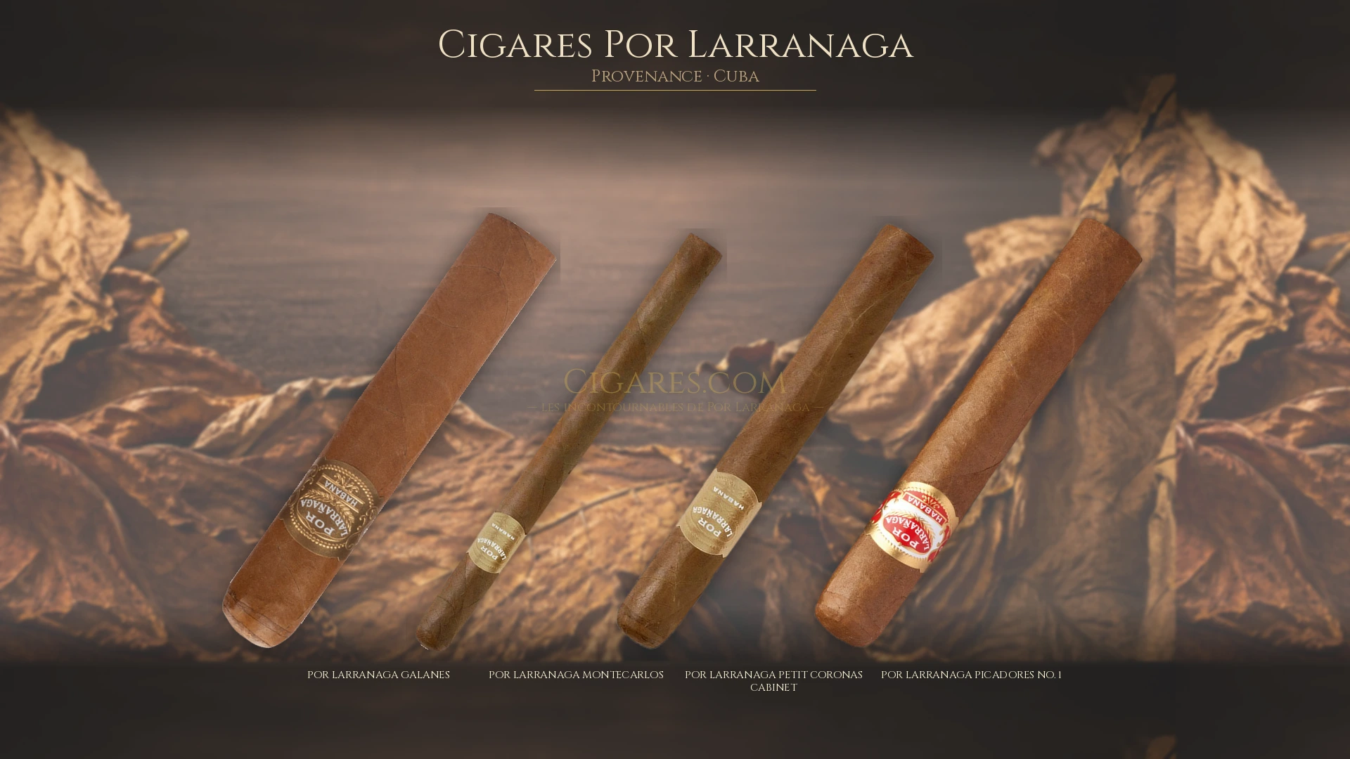 Top 5 cigares Por Larranaga — les plus populaires