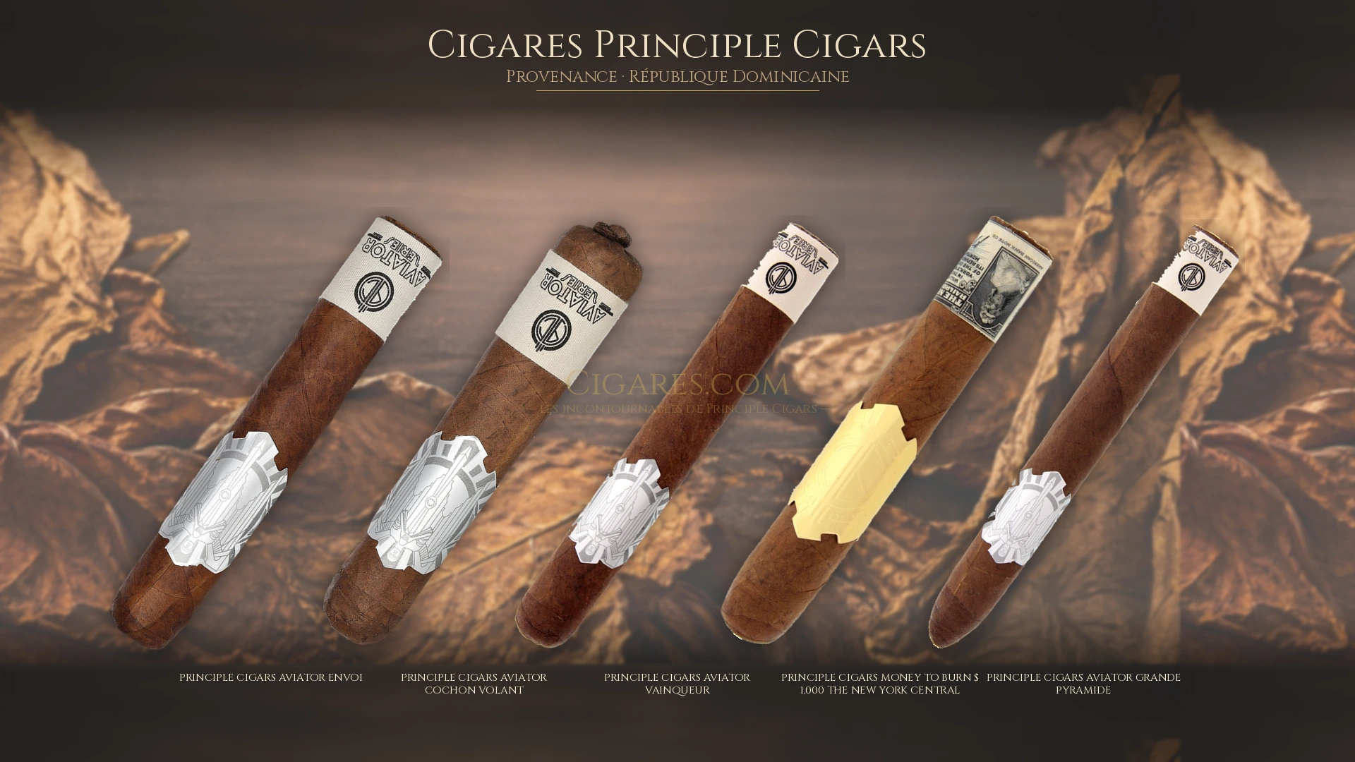 Top 5 cigares Principle Cigars — les plus populaires