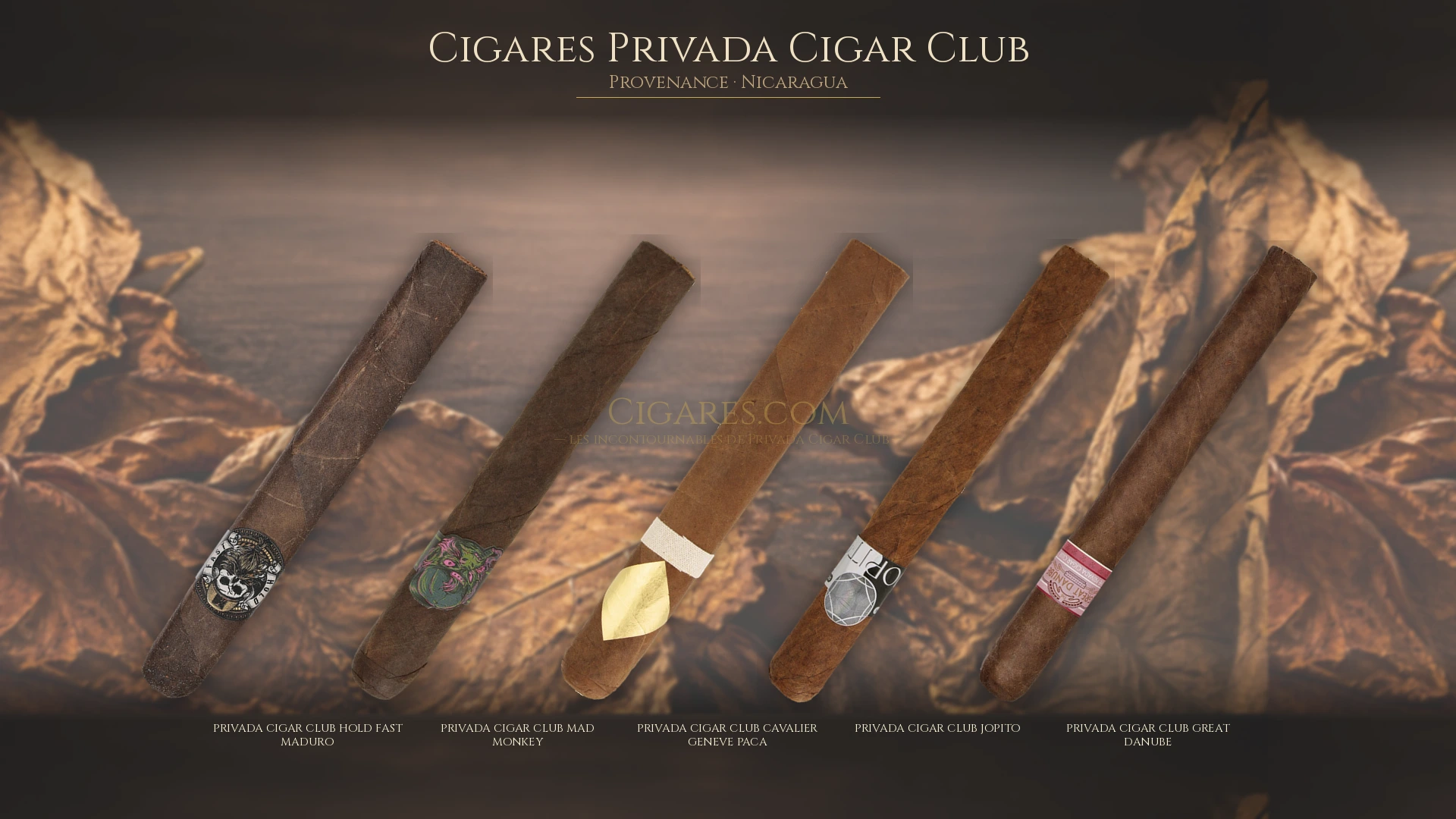 Top 5 cigares Privada Cigar Club — les plus populaires
