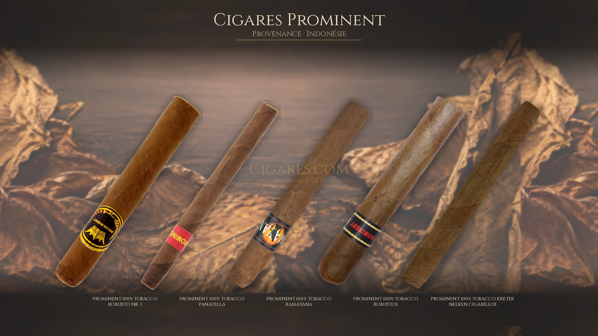 Top 5 cigares Prominent — les plus populaires