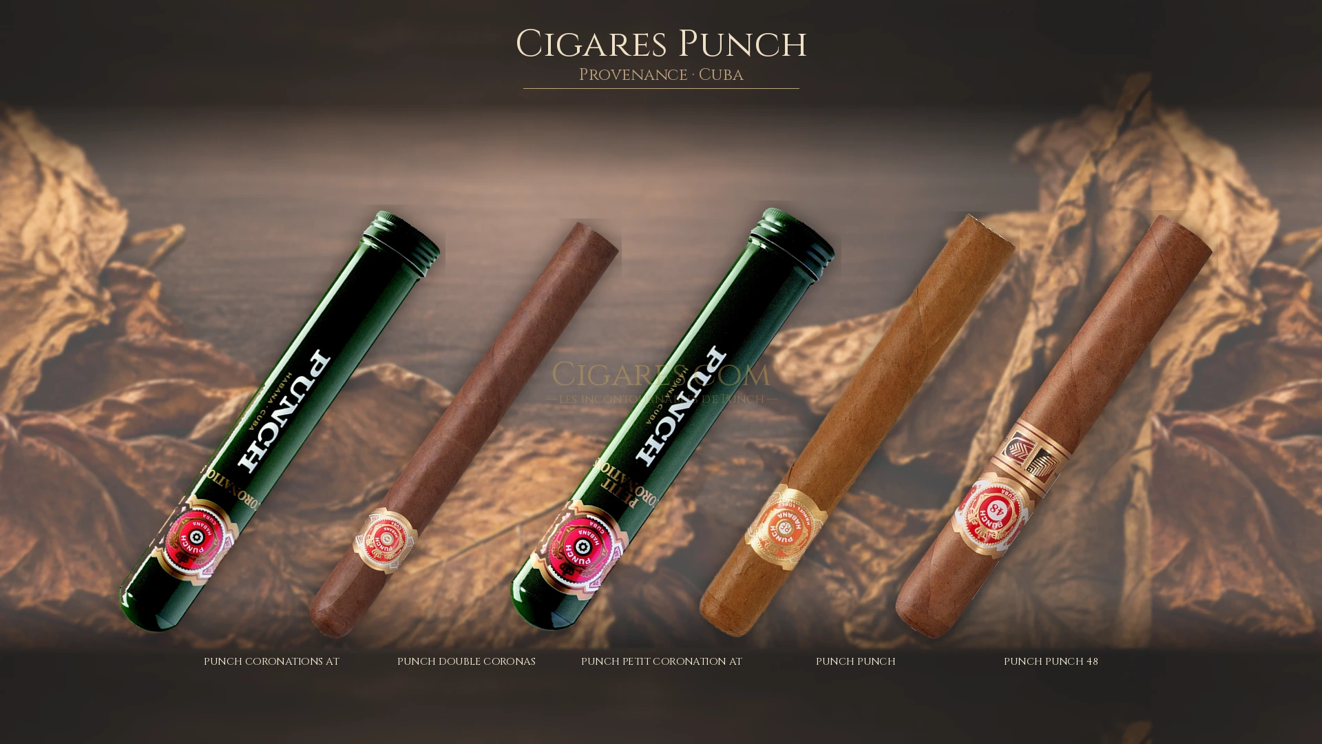 Top 5 cigares Punch — les plus populaires