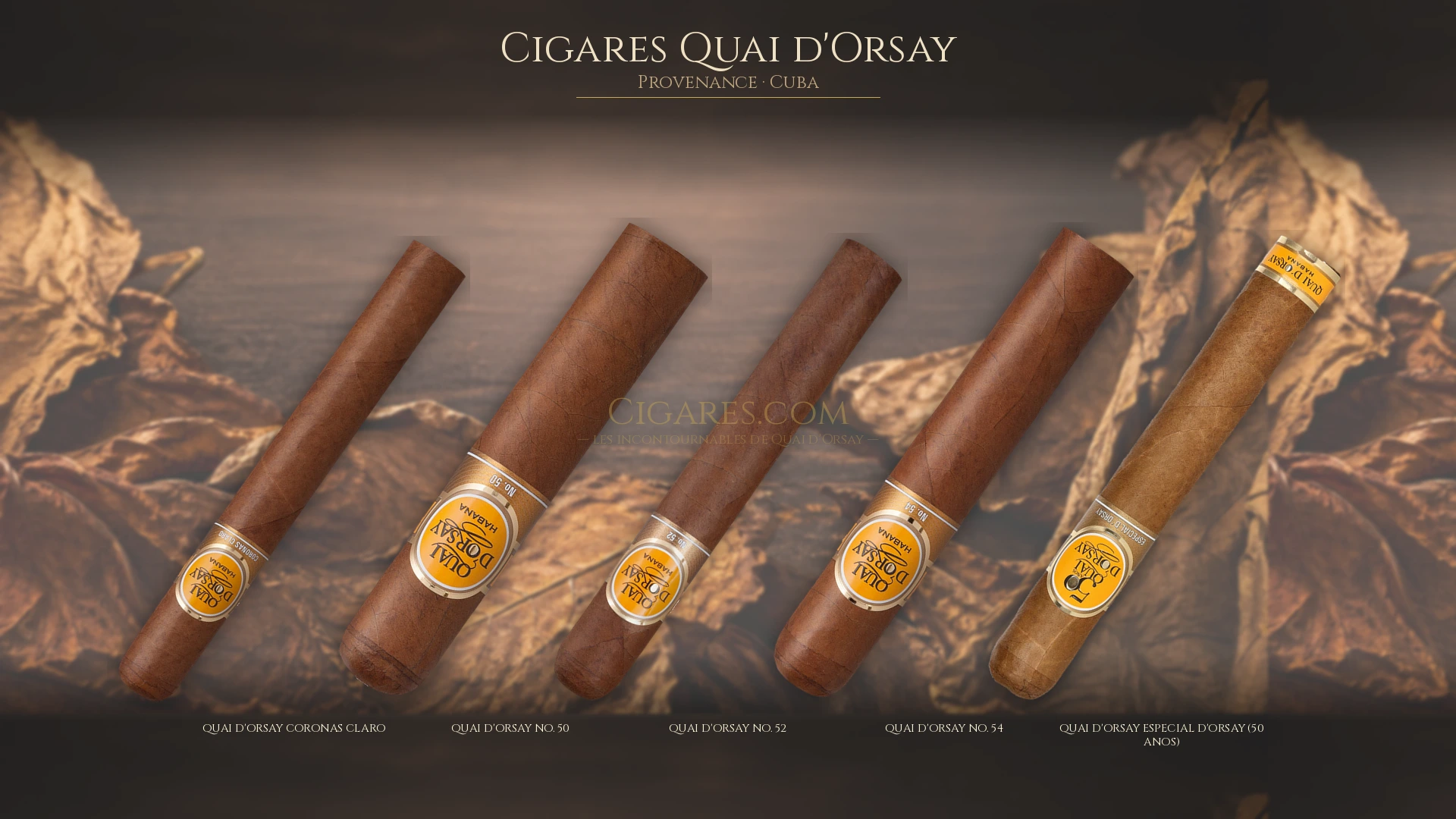 Top 5 cigares Quai d'Orsay — les plus populaires