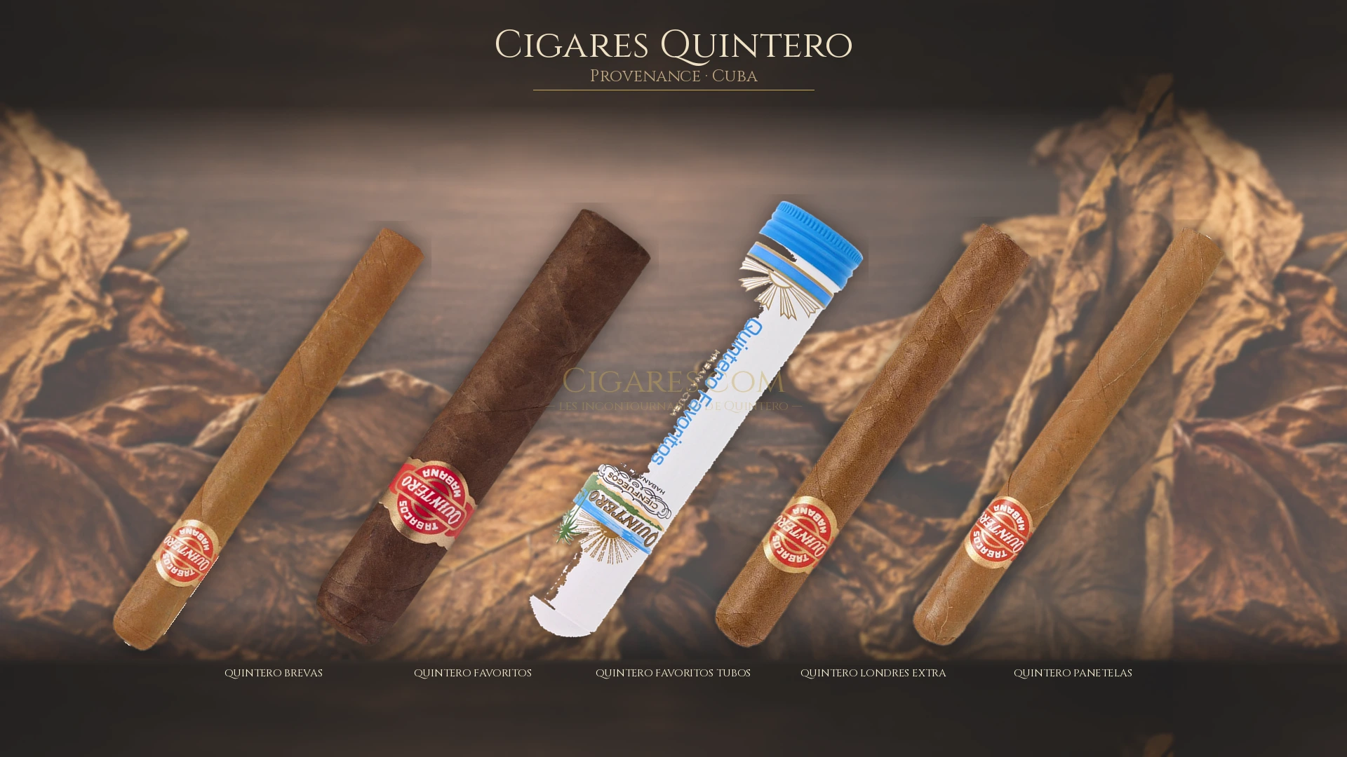 Top 5 cigares Quintero — les plus populaires