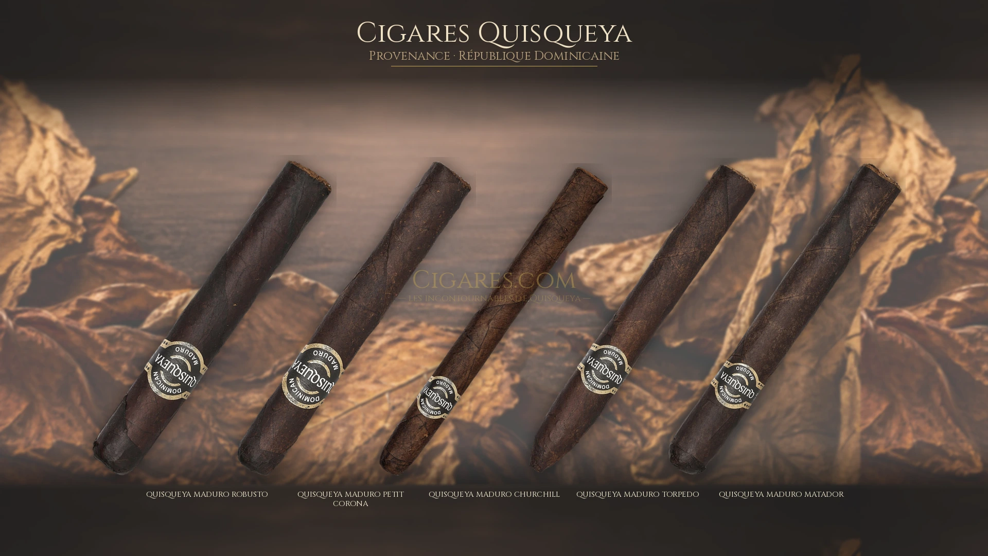 Top 5 cigares Quisqueya — les plus populaires