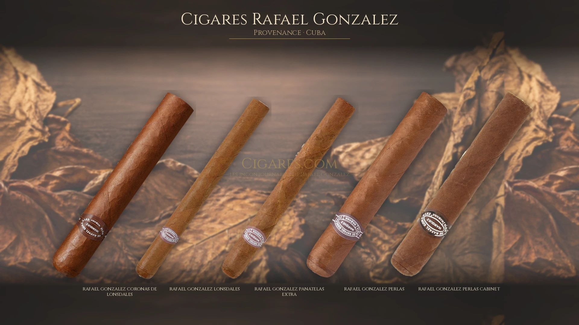 Top 5 cigares Rafael Gonzalez — les plus populaires