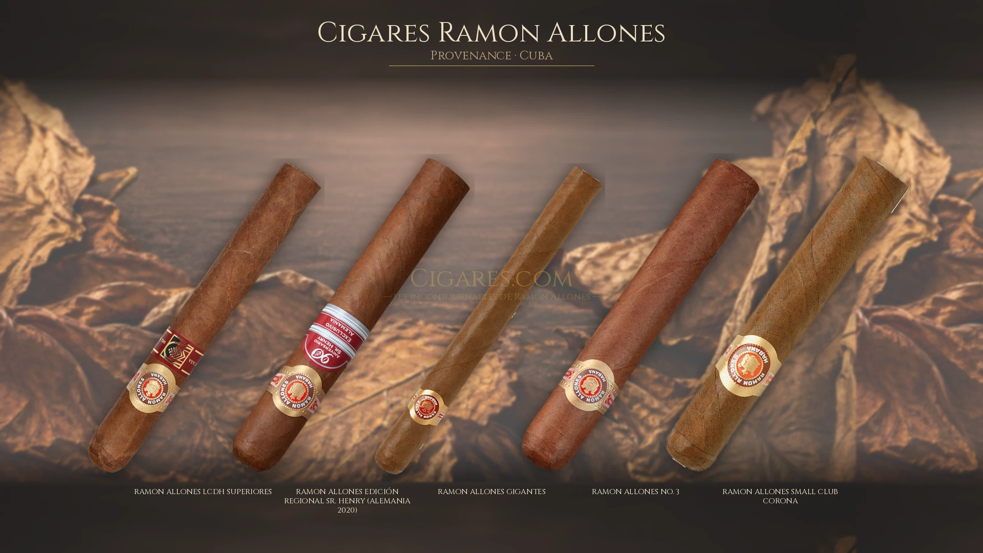Top 5 cigares Ramon Allones — les plus populaires