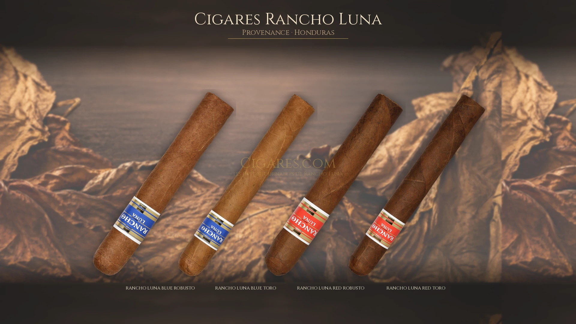 Top 5 cigares Rancho Luna — les plus populaires