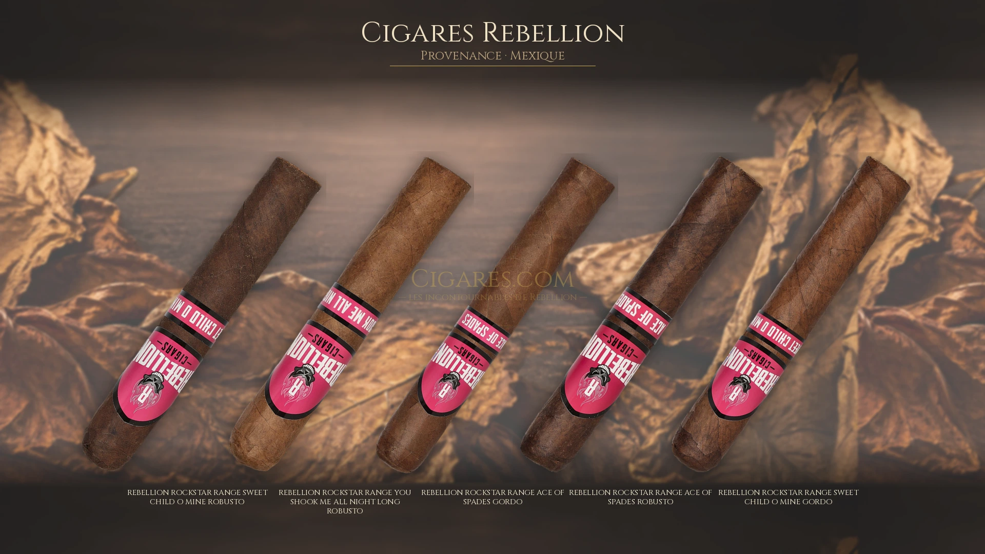 Top 5 cigares Rebellion — les plus populaires