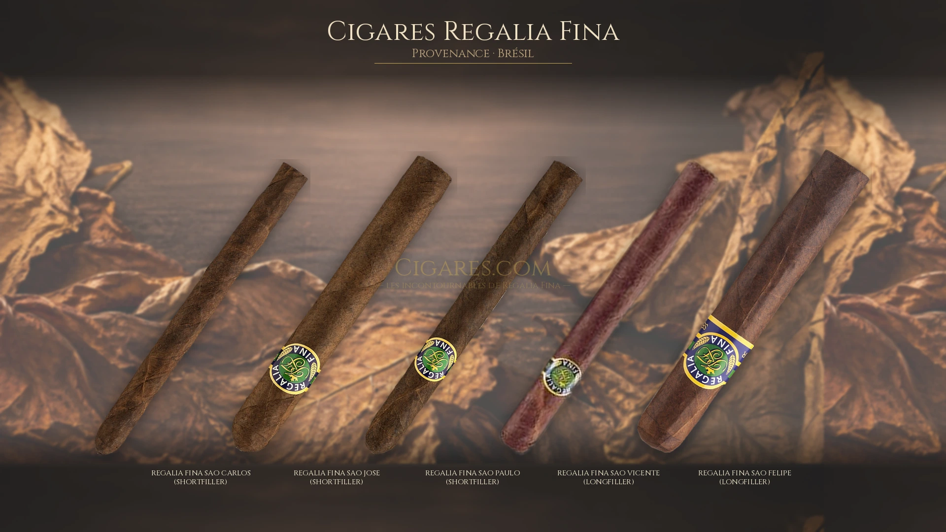 Top 5 cigares Regalia Fina — les plus populaires