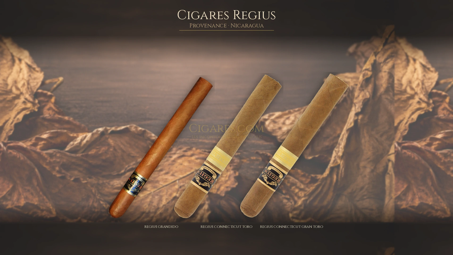 Top 5 cigares Regius — les plus populaires
