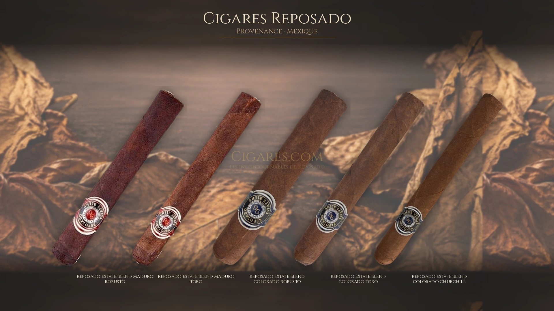 Top 5 cigares Reposado — les plus populaires