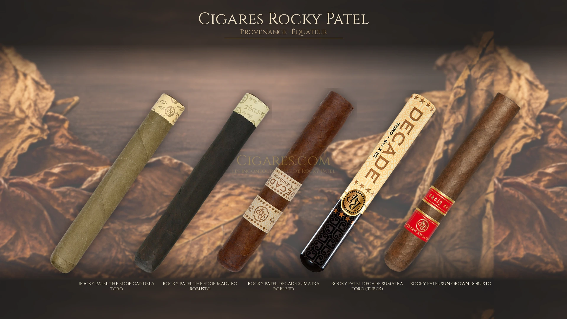 Top 5 cigares Rocky Patel — les plus populaires