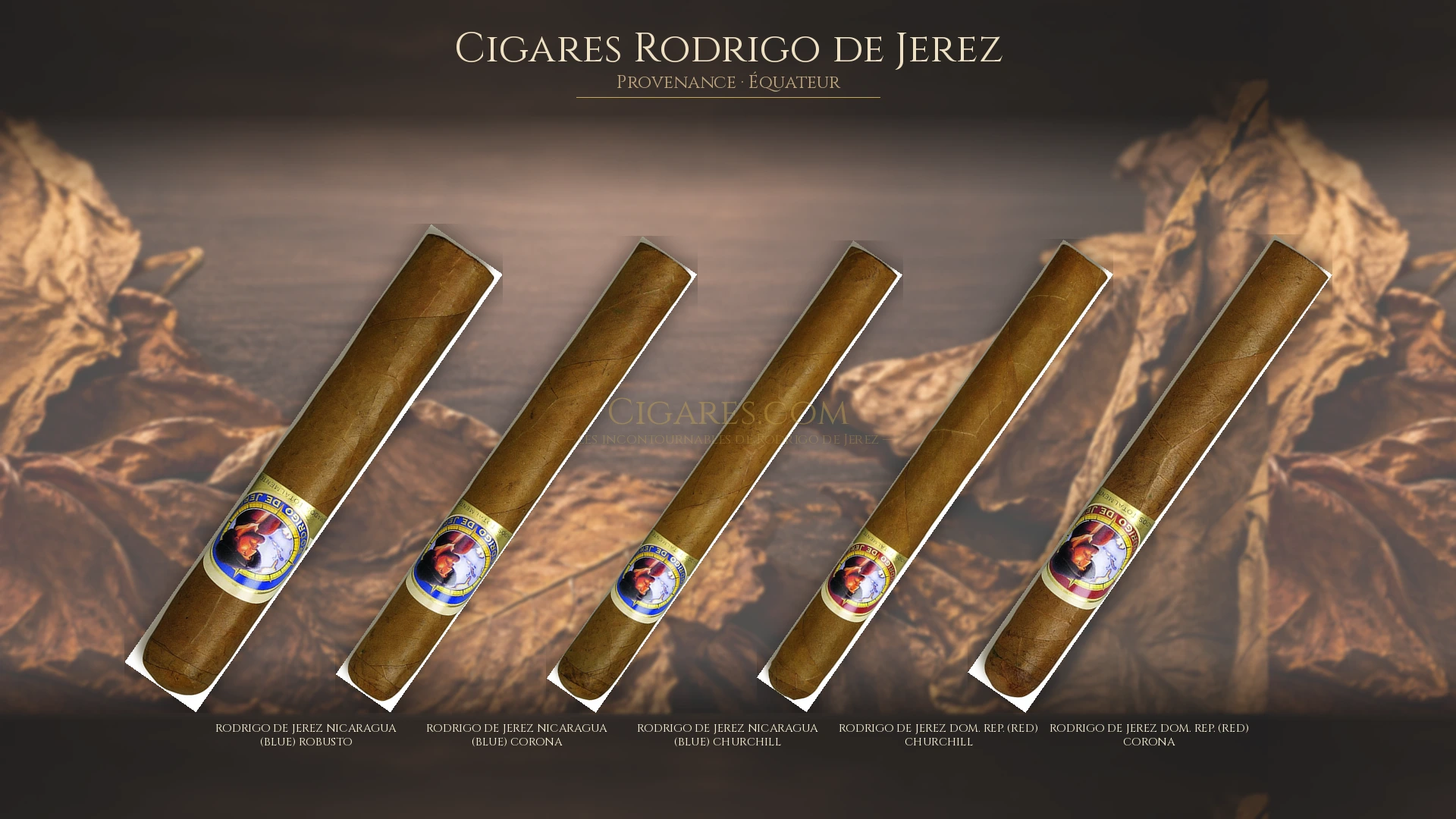 Top 5 cigares Rodrigo de Jerez — les plus populaires