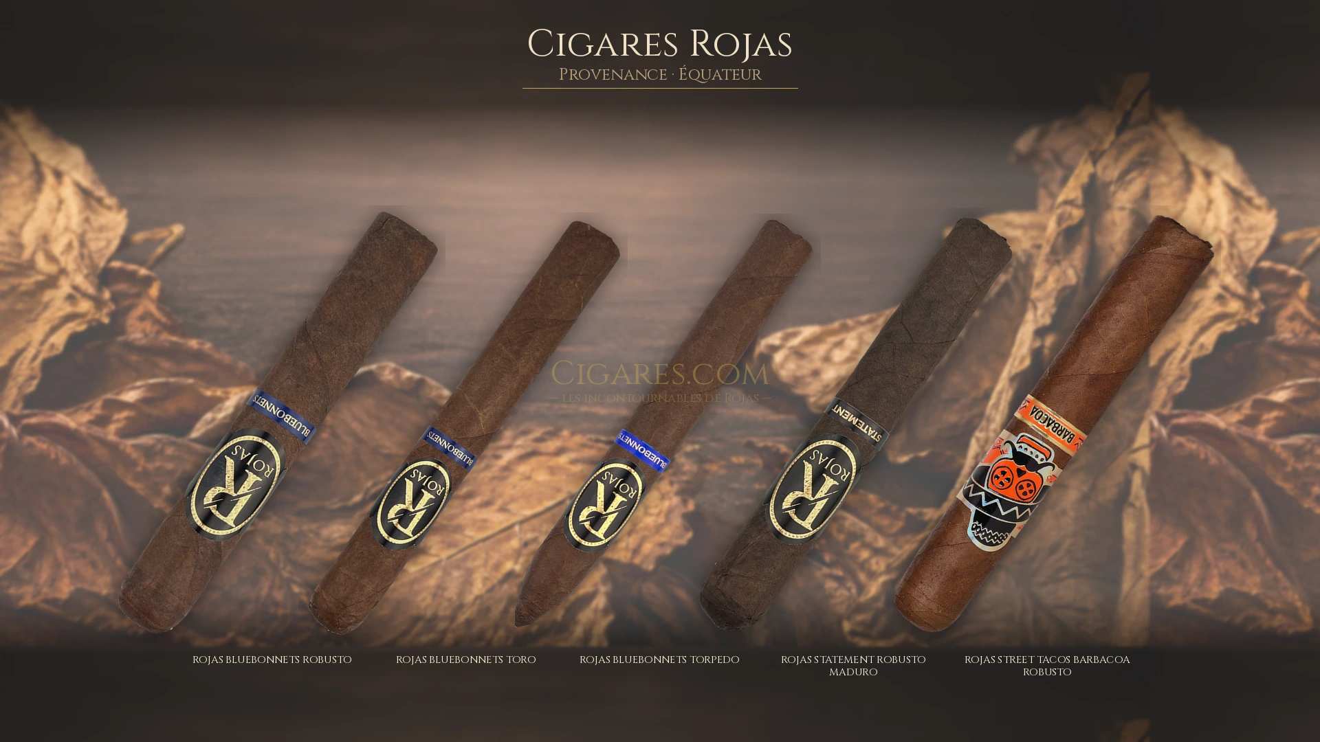 Top 5 cigares Rojas — les plus populaires