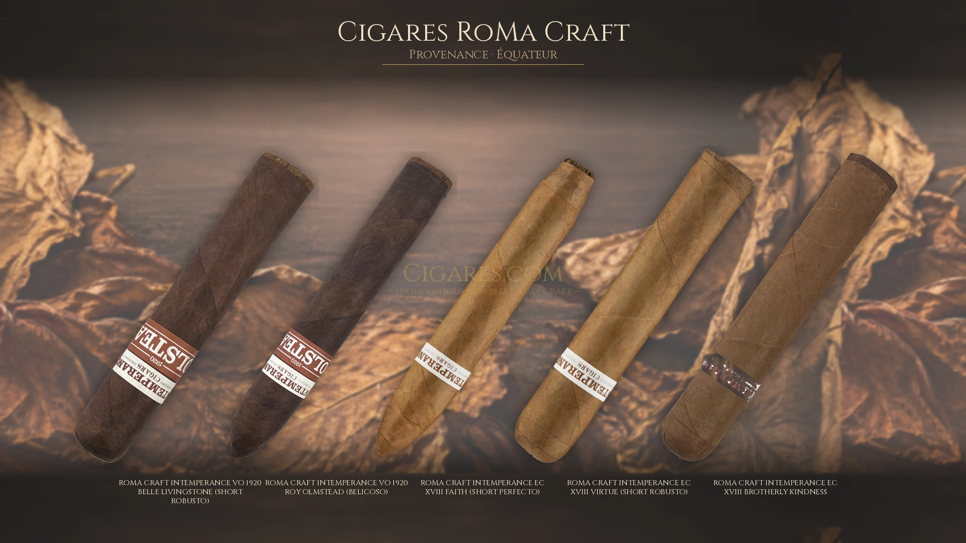 Top 5 cigares RoMa Craft — les plus populaires