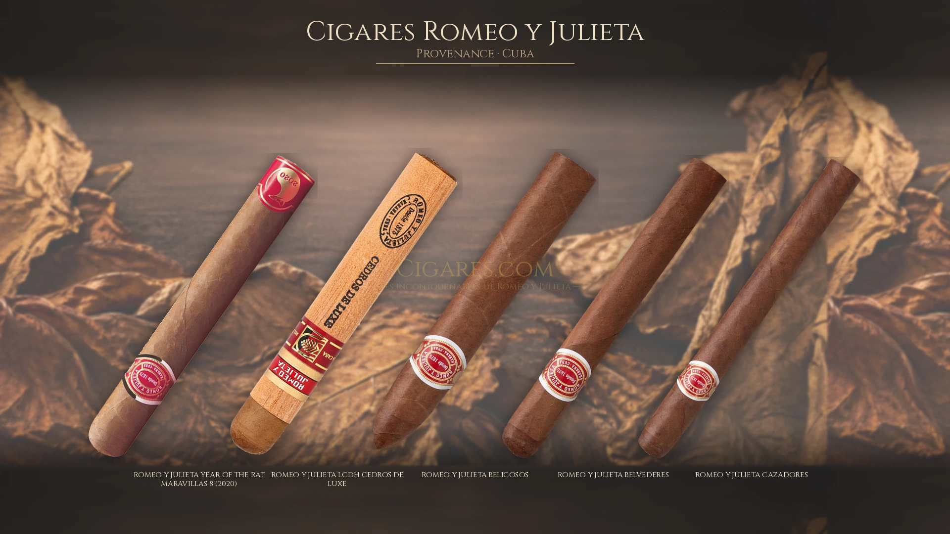 Top 5 cigares Romeo y Julieta — les plus populaires