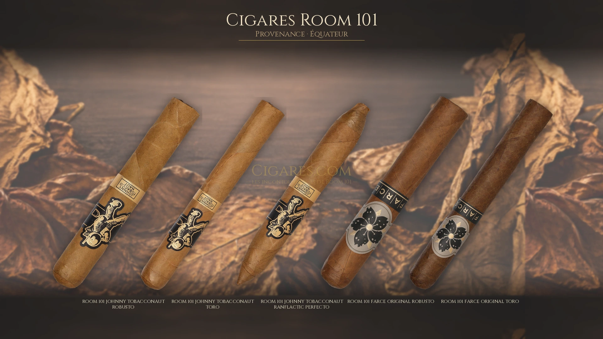 Top 5 cigares Room 101 — les plus populaires