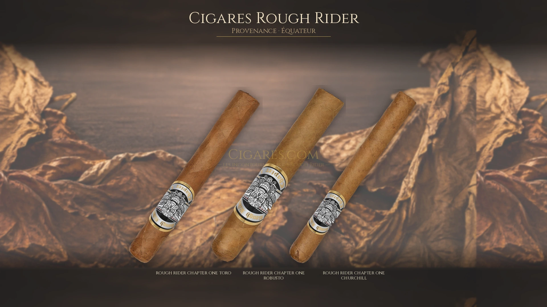 Top 5 cigares Rough Rider — les plus populaires