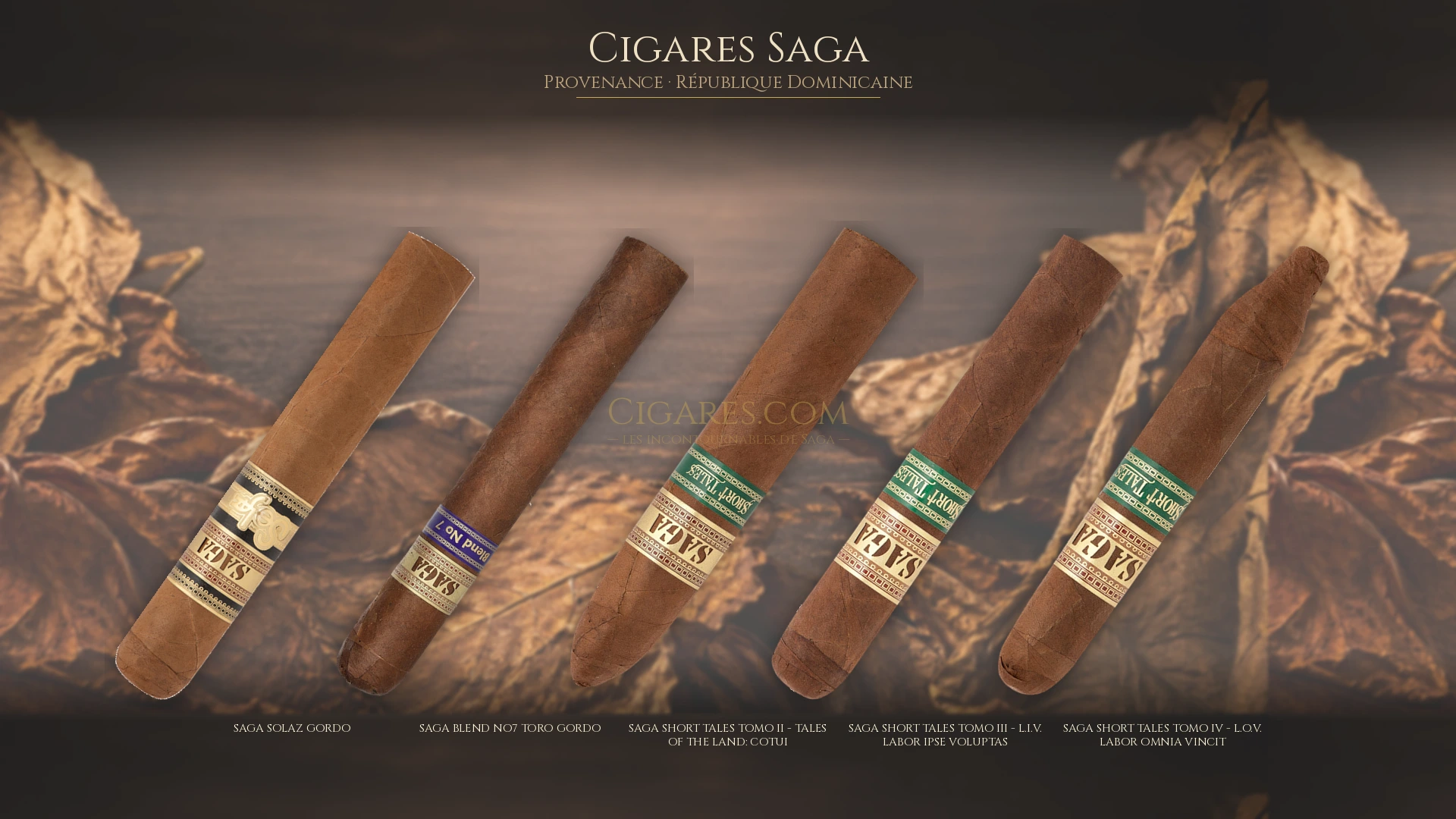 Top 5 cigares Saga — les plus populaires