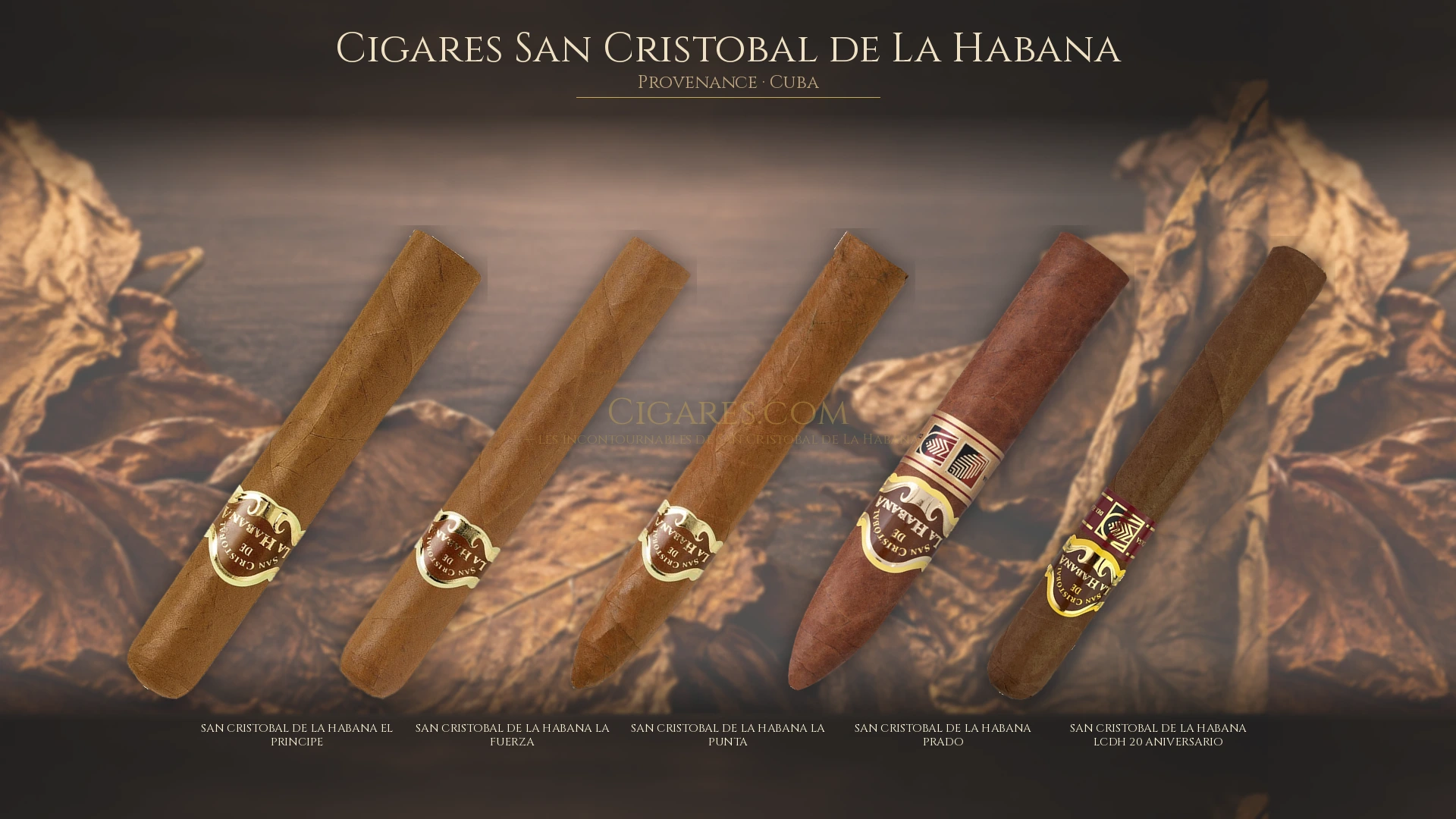 Top 5 cigares San Cristobal de La Habana — les plus populaires
