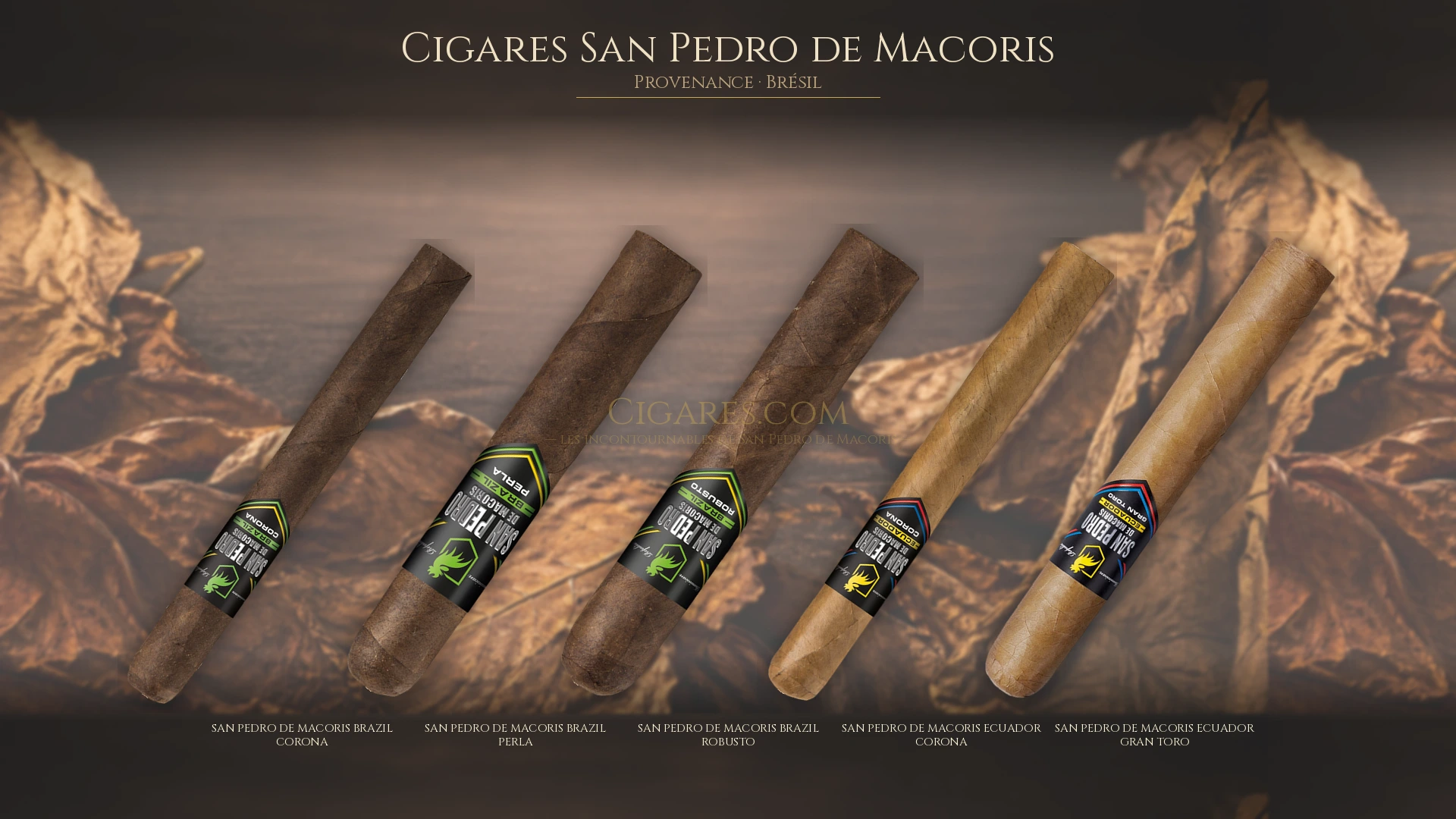 Top 5 cigares San Pedro de Macoris — les plus populaires