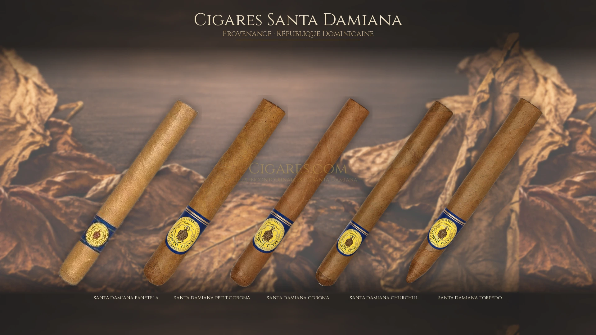 Top 5 cigares Santa Damiana — les plus populaires