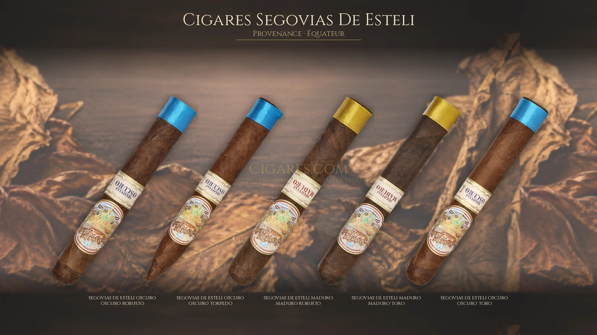 Top 5 cigares Segovias De Esteli — les plus populaires