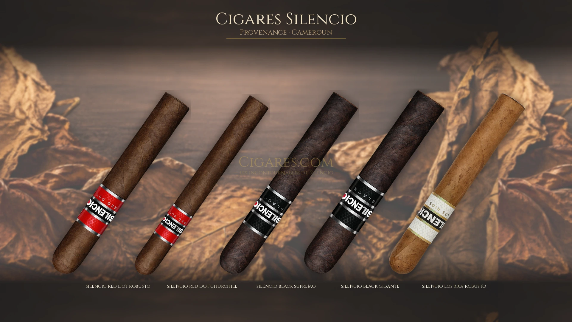 Top 5 cigares Silencio — les plus populaires