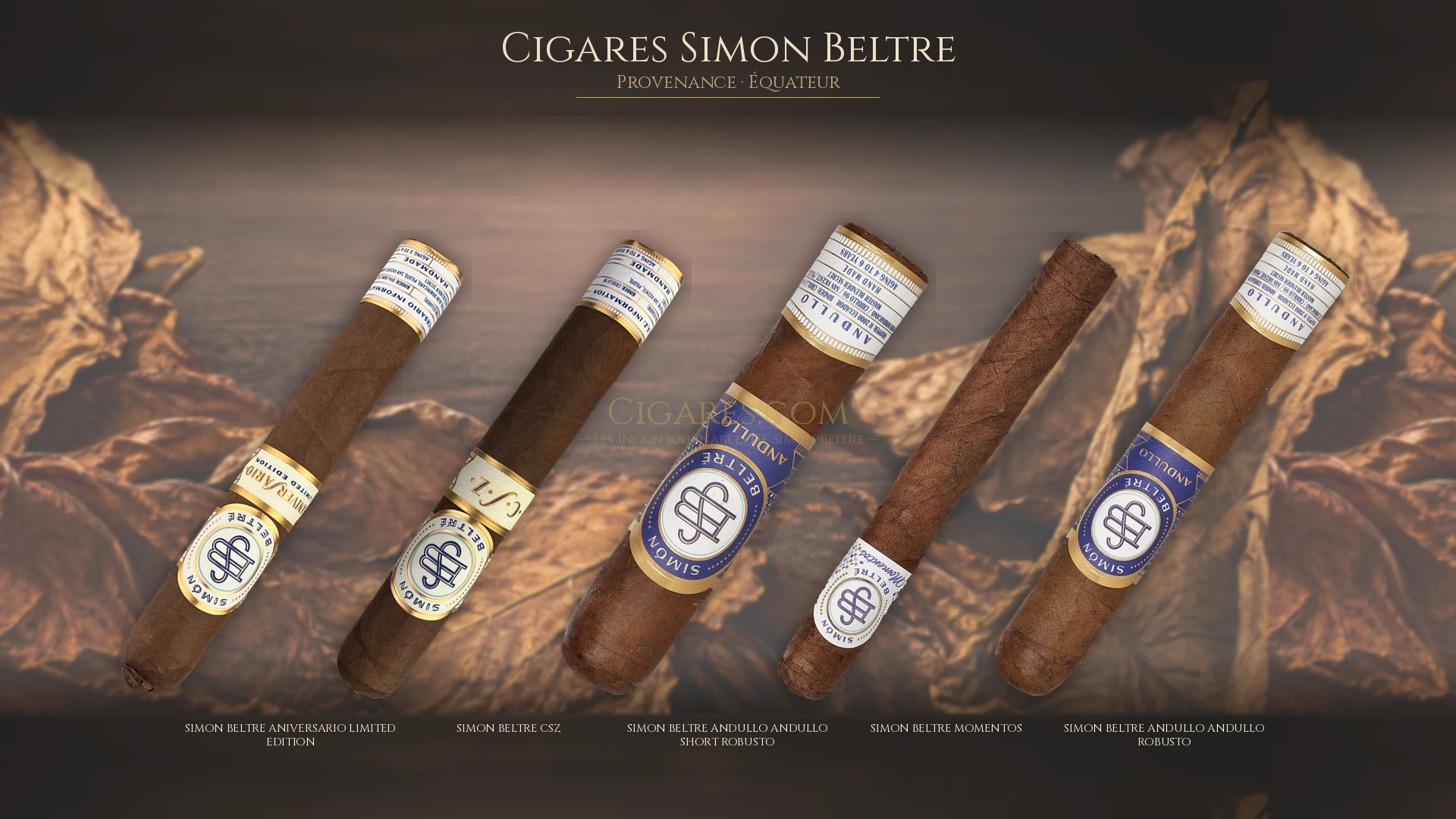 Top 5 cigares Simon Beltre — les plus populaires