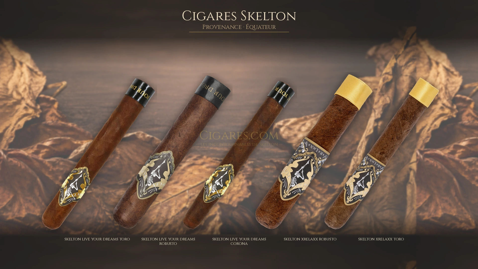 Top 5 cigares Skelton — les plus populaires