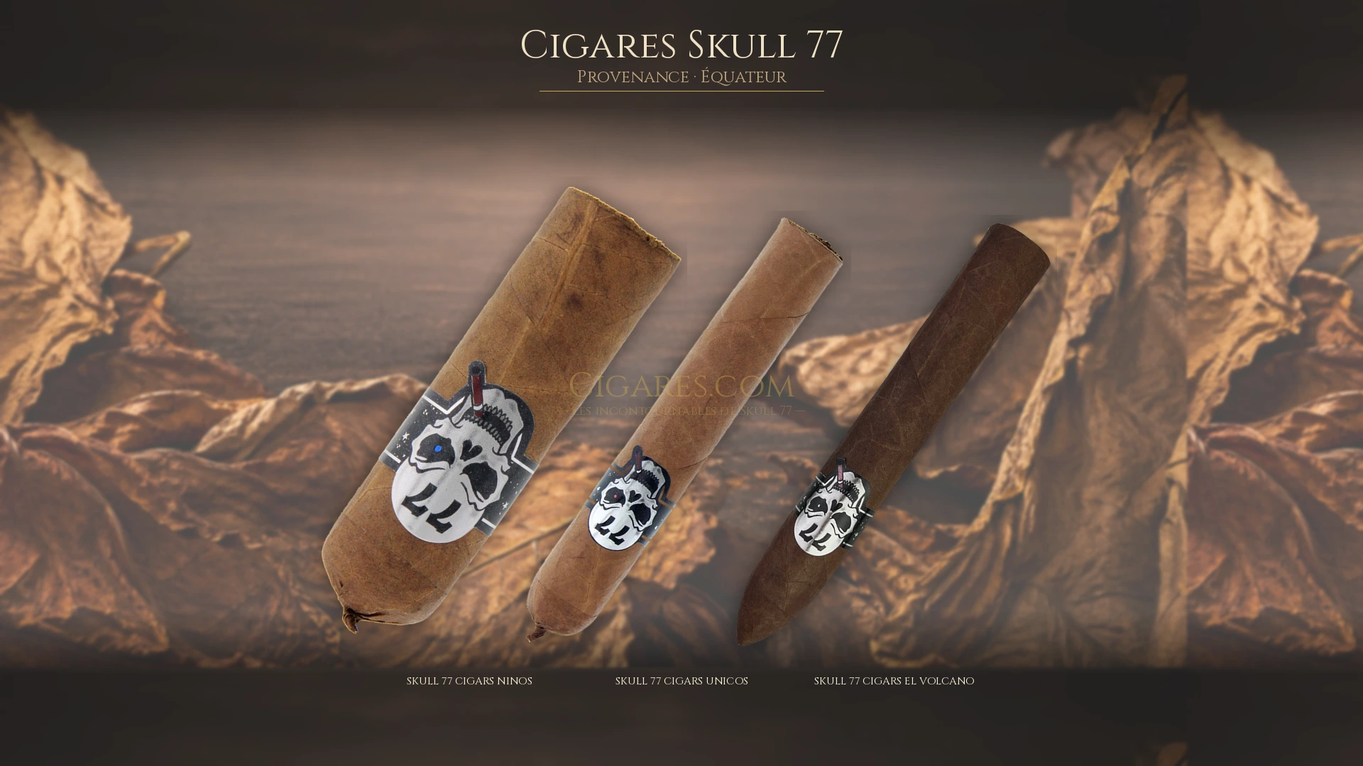 Top 5 cigares Skull 77 — les plus populaires
