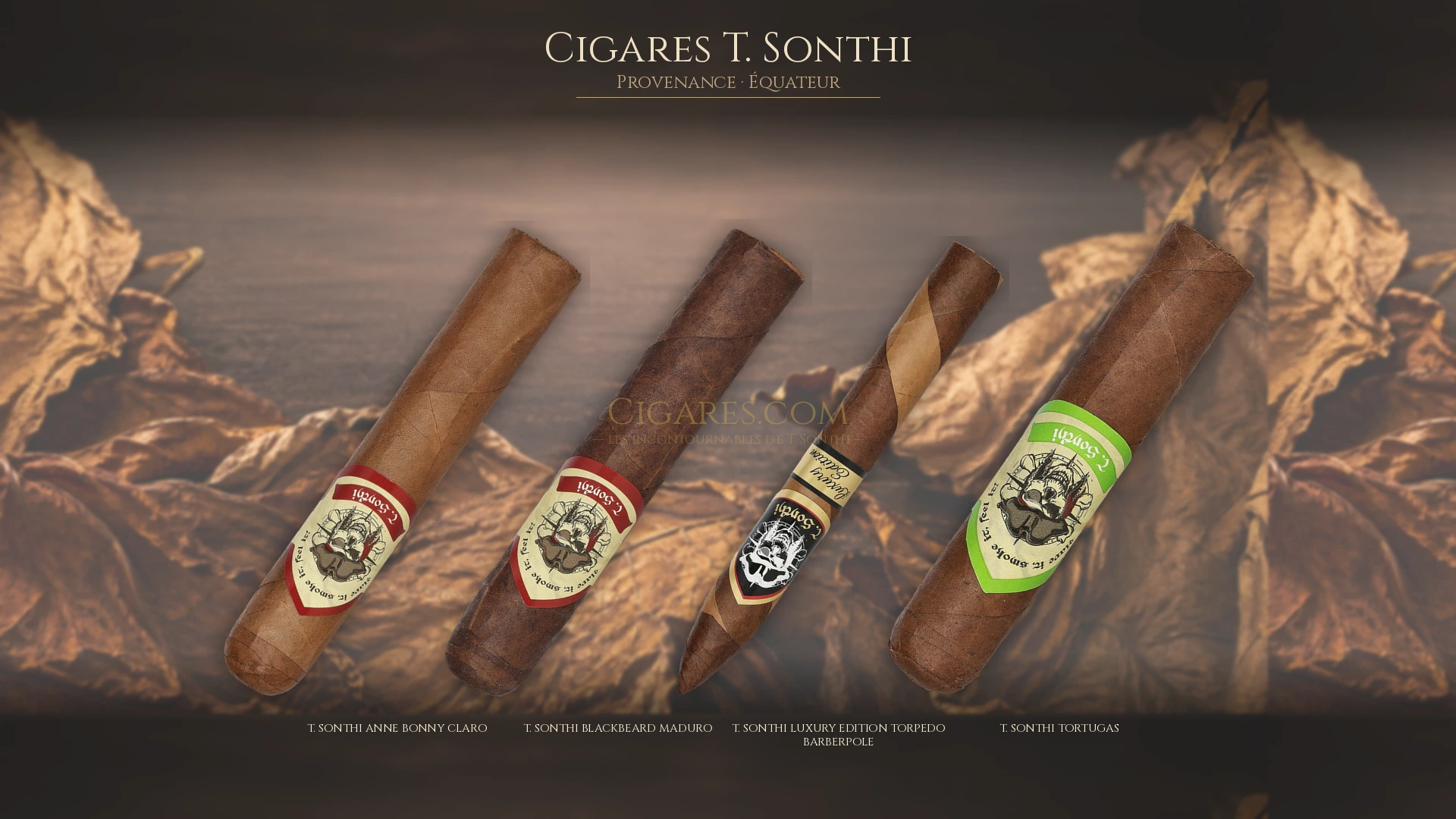 Top 5 cigares T. Sonthi — les plus populaires