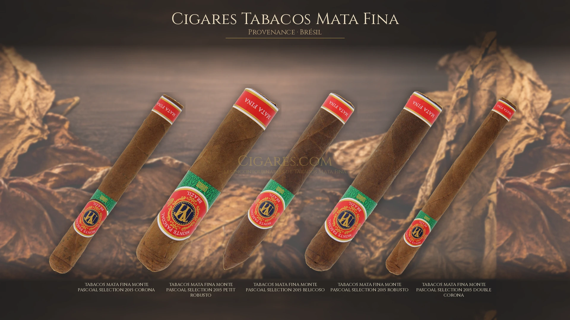 Top 5 cigares Tabacos Mata Fina — les plus populaires