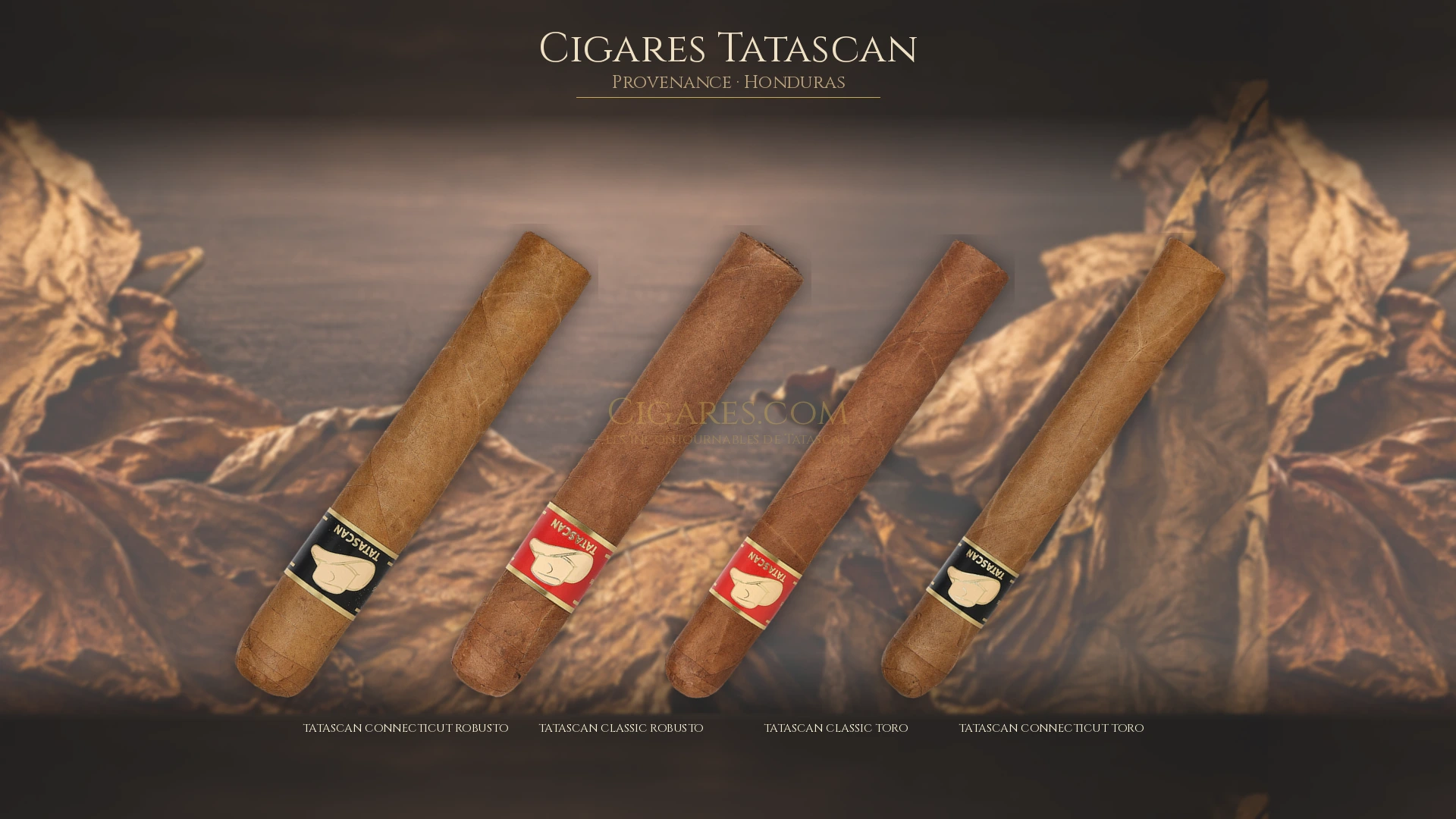 Top 5 cigares Tatascan — les plus populaires
