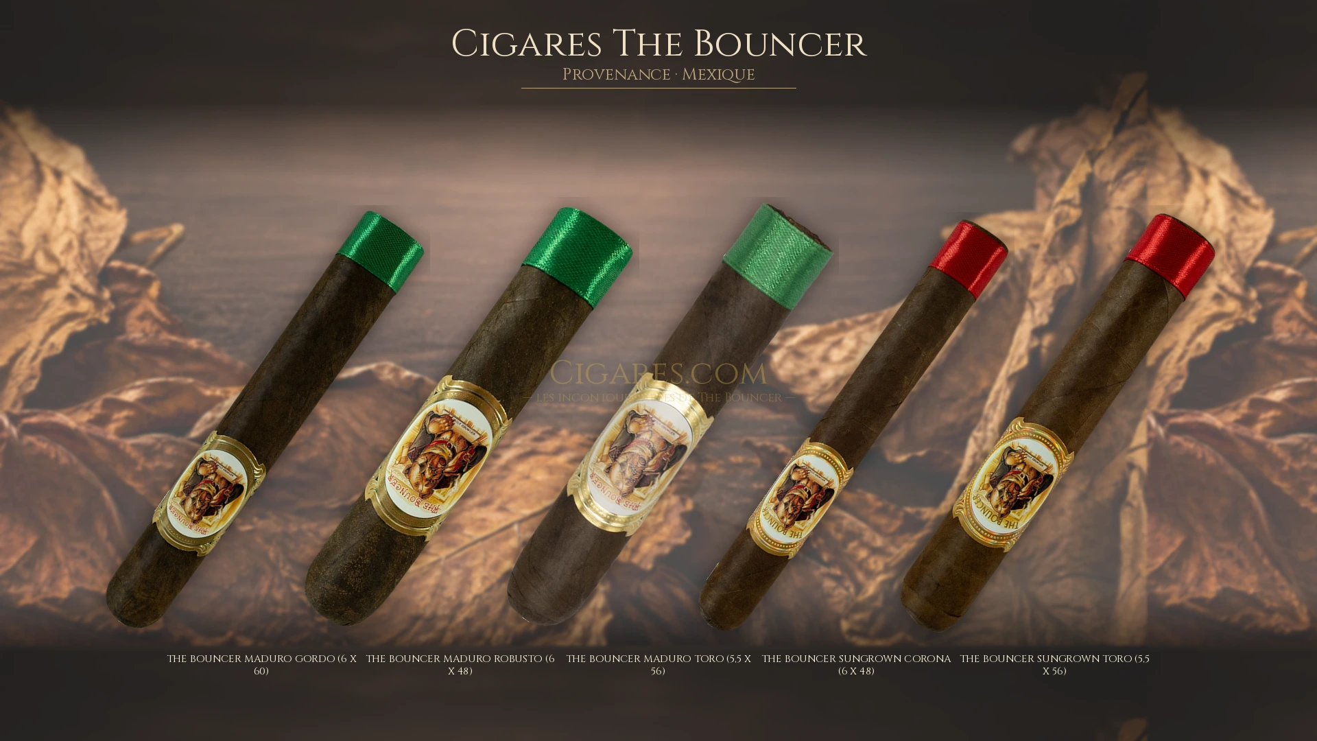 Top 5 cigares The Bouncer — les plus populaires