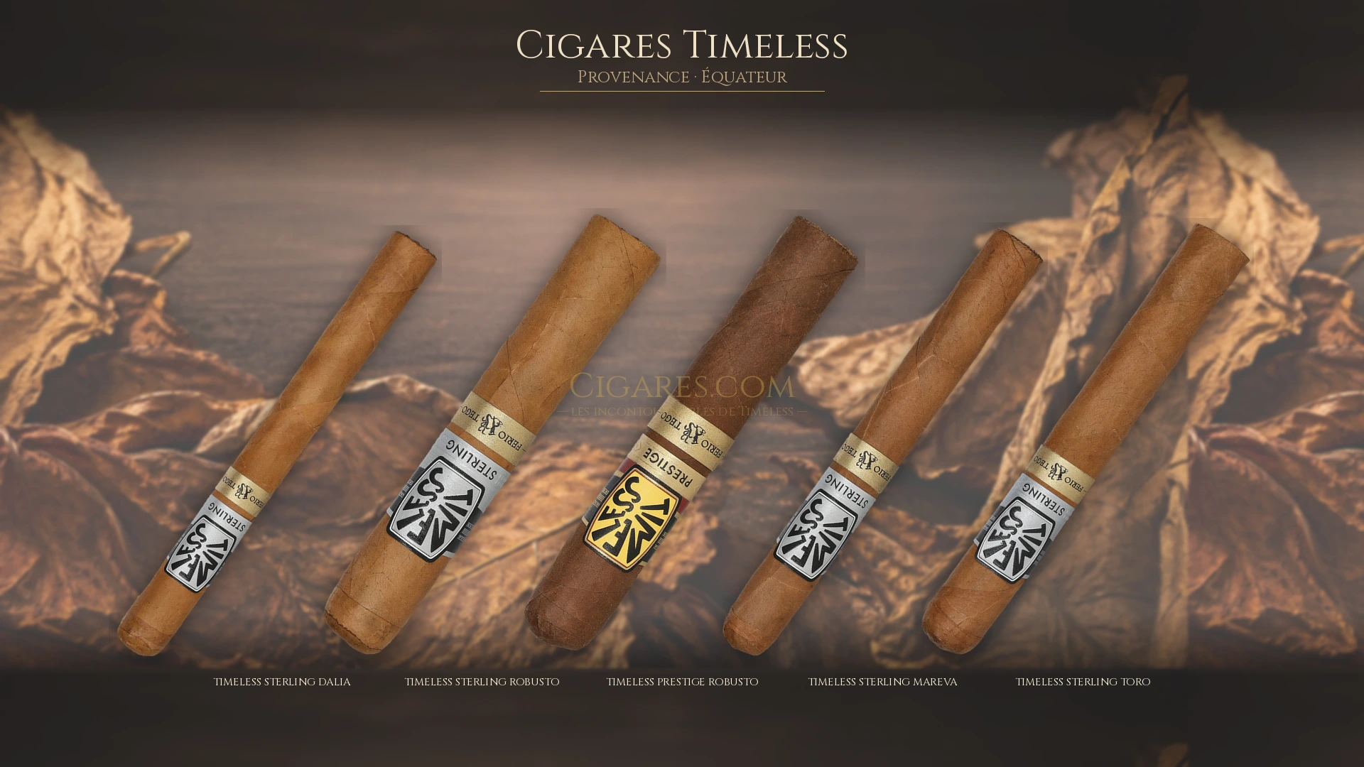 Top 5 cigares Timeless — les plus populaires