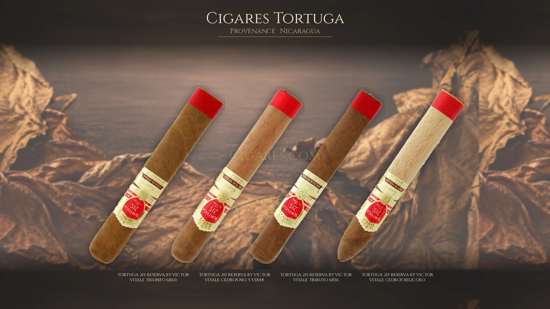 Top 5 cigares Tortuga — les plus populaires