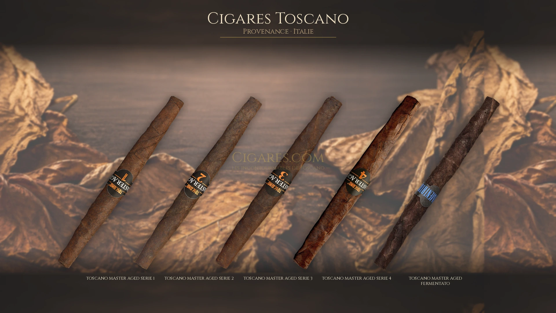 Top 5 cigares Toscano — les plus populaires